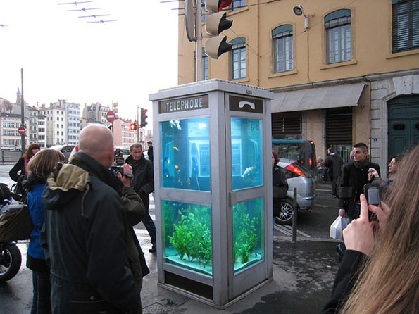phone-booth-fish-tank-aquarium-1